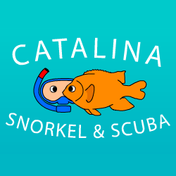 Catalina Snorkel & Scuba